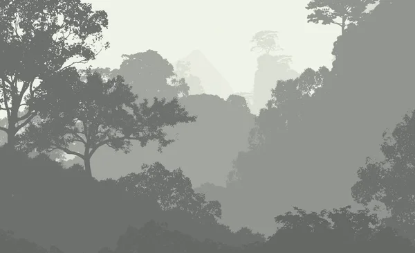 Ilustración Árboles Niebla Niebla Profunda Del Bosque Colinas Cubiertas Por — Foto de Stock