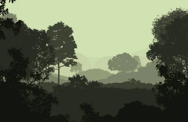 Ilustración Árboles Niebla Niebla Profunda Del Bosque Colinas Cubiertas Por — Foto de Stock