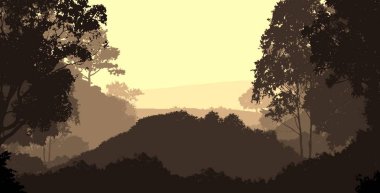 2d illüstrasyon. Sisteki ağaçlar. Derin orman sisi. Bitkiler ve yapraklarla kaplı tepeler. Çalılar ve çalılar. Yaprak döken ahşap. 