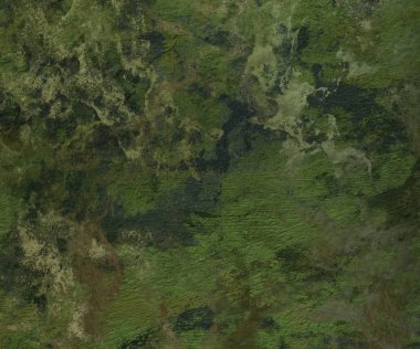 metin için alanı olan grunge doku arkaplanı