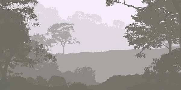 Illustration Des Arbres Dans Brouillard Brume Forêt Profonde Collines Couvertes — Photo