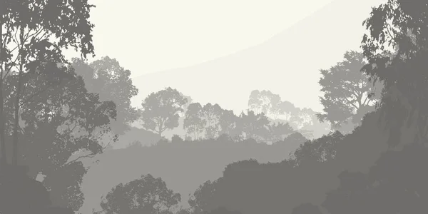 Ilustración Árboles Niebla Niebla Profunda Del Bosque Colinas Cubiertas Por — Foto de Stock