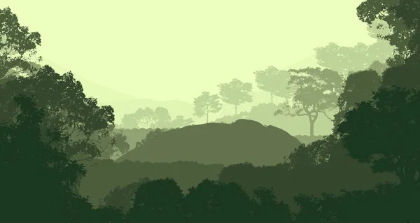 Ilustración Árboles Niebla Niebla Profunda Del Bosque Colinas Cubiertas Por —  Fotos de Stock