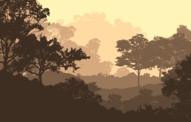 2d illüstrasyon. Sisteki ağaçlar. Derin orman sisi. Bitkiler ve yapraklarla kaplı tepeler. Çalılar ve çalılar. Yaprak döken ahşap. 