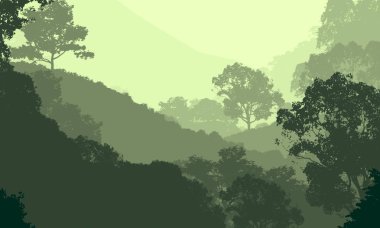 2d illüstrasyon. Sisteki ağaçlar. Derin orman sisi. Bitkiler ve yapraklarla kaplı tepeler. Çalılar ve çalılar. Yaprak döken ahşap. 