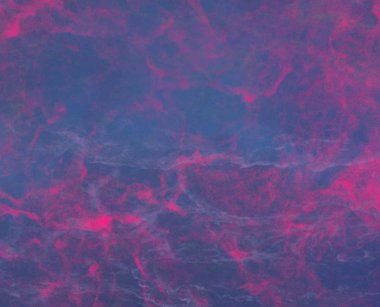 metin için alan ile renkli mermer doku ile soyut arka plan