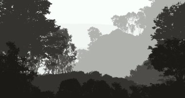 2d illüstrasyon. Sisteki ağaçlar. Derin orman sisi. Bitkiler ve yapraklarla kaplı tepeler. Çalılar ve çalılar. Yaprak döken ahşap. 