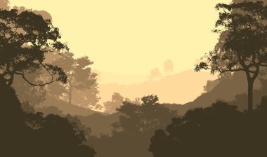 2d illüstrasyon. Sisteki ağaçlar. Derin orman sisi. Bitkiler ve yapraklarla kaplı tepeler. Çalılar ve çalılar. Yaprak döken ahşap. 