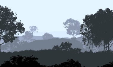 2d illüstrasyon. Sisteki ağaçlar. Derin orman sisi. Bitkiler ve yapraklarla kaplı tepeler. Çalılar ve çalılar. Yaprak döken ahşap. 