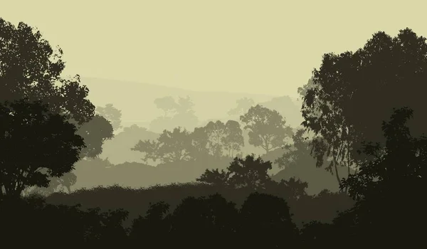 Illustration Träd Dimma Djupa Skogs Dis Kullar Täckta Växter Och — Stockfoto