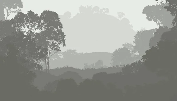 Ilustración Árboles Niebla Niebla Profunda Del Bosque Colinas Cubiertas Por — Foto de Stock