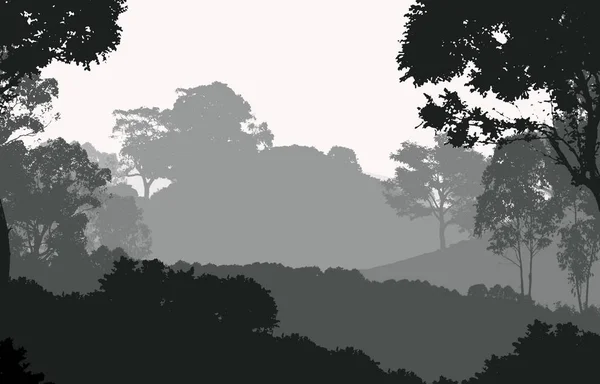 Illustrazione Alberi Nella Nebbia Foresta Profonda Foschia Colline Coperte Piante — Foto Stock