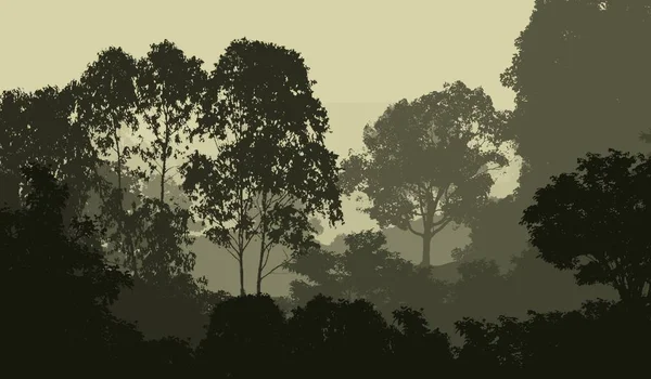 Illustrazione Alberi Nella Nebbia Foresta Profonda Foschia Colline Coperte Piante — Foto Stock