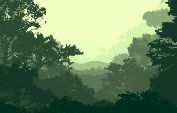 Illustratie Bomen Mist Deep Forest Haze Heuvels Bedekt Met Planten — Stockfoto