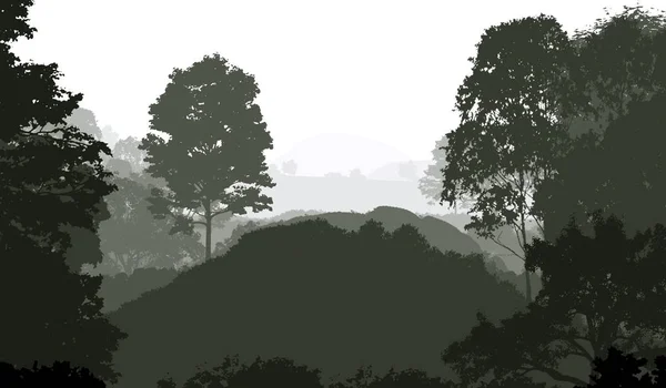 Ilustrasi Pohon Dalam Kabut Kedalaman Hutan Kabut Bukit Ditutupi Oleh — Stok Foto