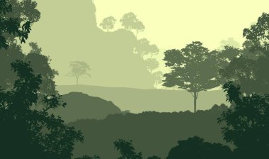 2d illüstrasyon. Sisteki ağaçlar. Derin orman sisi. Bitkiler ve yapraklarla kaplı tepeler. Çalılar ve çalılar. Yaprak döken ahşap. 