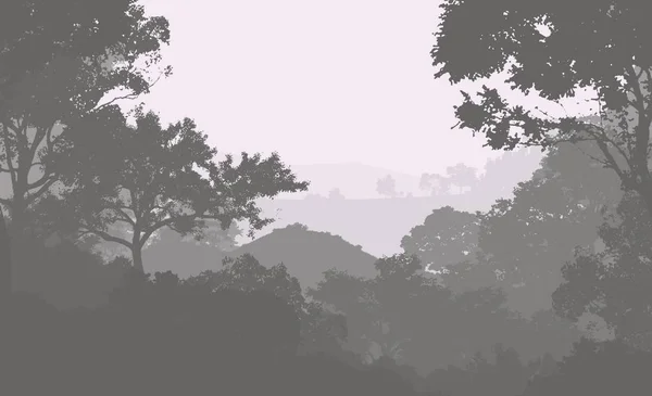 雾中的树 森林深处的阴霾 被植物和树叶覆盖的山丘 灌木和灌木 落叶木 — 图库照片