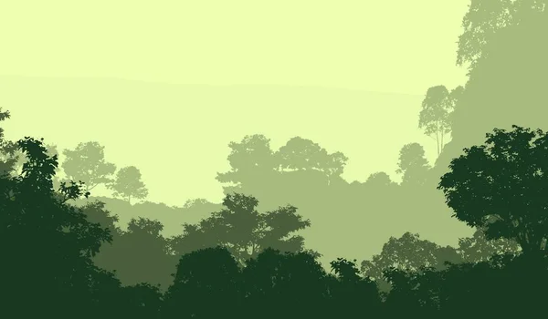 Illustrazione Alberi Nella Nebbia Foresta Profonda Foschia Colline Coperte Piante — Foto Stock