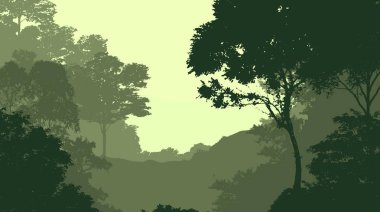 2d illüstrasyon. Sisteki ağaçlar. Derin orman sisi. Bitkiler ve yapraklarla kaplı tepeler. Çalılar ve çalılar. Yaprak döken ahşap. 