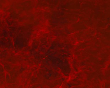 Metin için alanı olan soyut grunge arkaplanı 