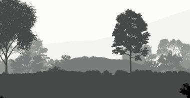 2d illüstrasyon. Sisteki ağaçlar. Derin orman sisi. Bitkiler ve yapraklarla kaplı tepeler. Çalılar ve çalılar. Yaprak döken ahşap. 