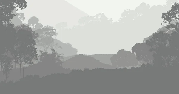 Illustration Des Arbres Dans Brouillard Brume Forêt Profonde Collines Couvertes — Photo