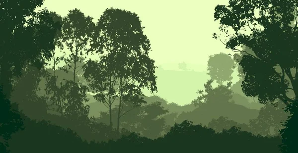 Ilustración Árboles Niebla Niebla Profunda Del Bosque Colinas Cubiertas Por — Foto de Stock