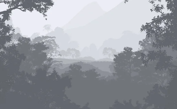 Abbildung Bäume Nebel Tiefer Walddunst Hügel Die Von Pflanzen Und — Stockfoto