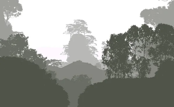 Illustratie Bomen Mist Deep Forest Haze Heuvels Bedekt Met Planten — Stockfoto