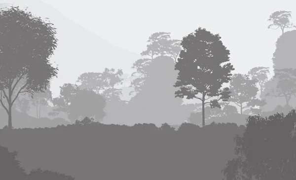 Illusztráció Fák Köd Mély Erdei Ködben Dombok Borított Növények Lombozat — Stock Fotó