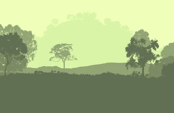 2d illustration. Trees in fog. Deep forest haze. Hills covered by plants and foliage. Shrubs and bushes. Deciduous wood.