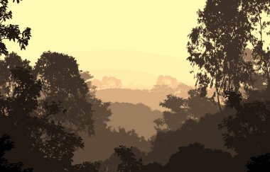 Sis ve orman pus ağaçları ile Doğa arka plan.