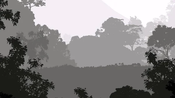 Illustration Des Arbres Dans Brouillard Brume Forêt Profonde Collines Couvertes — Photo