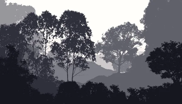 Natureza Fundo Com Árvores Neblina Neblina Florestal — Fotografia de Stock