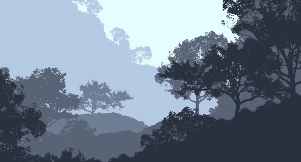 雾和森林阴霾中的树木的自然背景 — 图库照片