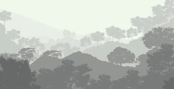 Natureza Fundo Com Árvores Neblina Neblina Florestal — Fotografia de Stock