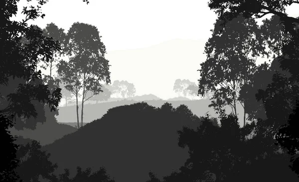 Sis Orman Pus Ağaçları Ile Doğa Arka Plan — Stok fotoğraf