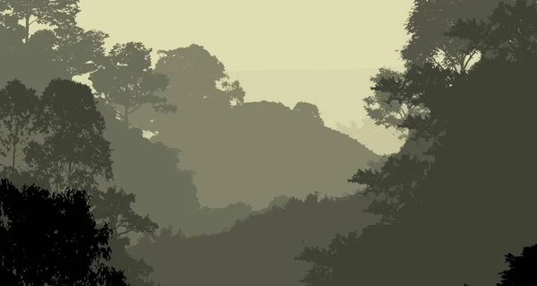 Tło Przyrodnicze Drzewami Mgle Zamglenie Lasu — Zdjęcie stockowe