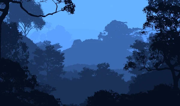 Natureza Fundo Com Árvores Neblina Neblina Florestal — Fotografia de Stock