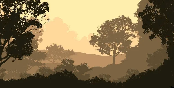 Natuur Achtergrond Met Bomen Mist Bos Nevel — Stockfoto