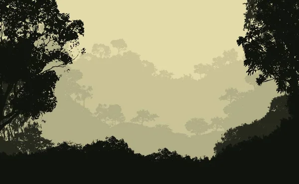 Fondo Natural Con Árboles Niebla Neblina Forestal —  Fotos de Stock