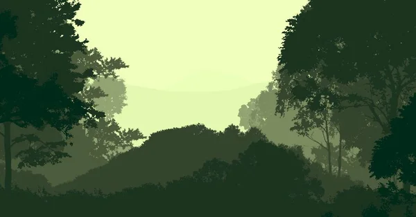 Фон Природы Деревьями Тумане Лесной Дымке — стоковое фото