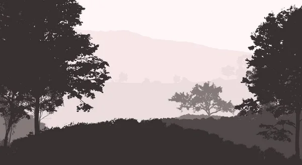 Natureza Fundo Com Árvores Neblina Neblina Florestal — Fotografia de Stock