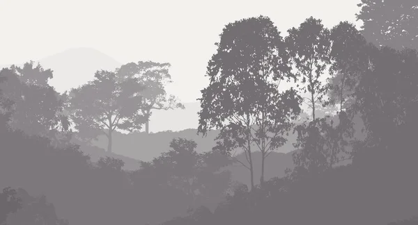 Sis Orman Pus Ağaçları Ile Doğa Arka Plan — Stok fotoğraf
