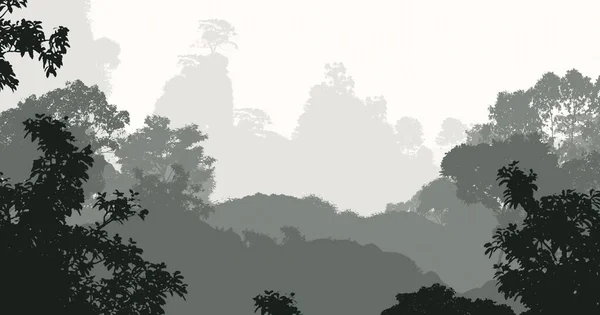Φύση Φόντο Δέντρα Στην Ομίχλη Και Δάσος Ομίχλη — Φωτογραφία Αρχείου