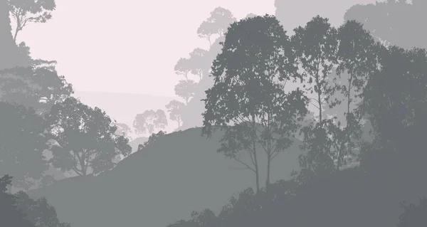 Fond Naturel Avec Des Arbres Dans Brouillard Brume Forestière — Photo