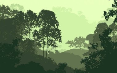 Sis ve orman pus ağaçları ile Doğa arka plan.