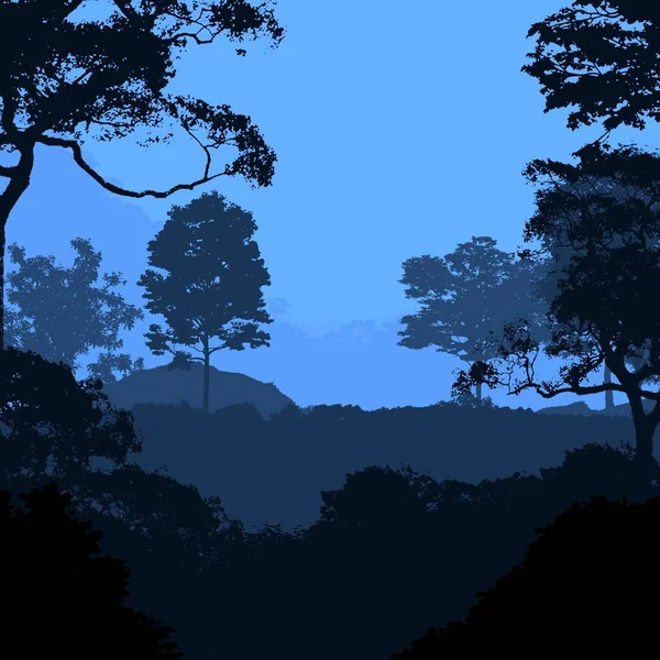 Абстрактний Фон Деревами Тумані Лісовим Туманом — стокове фото