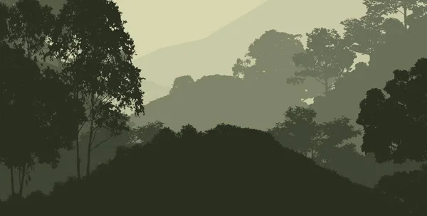 雾和森林阴霾中的树木的抽象背景 — 图库照片