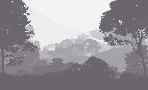 雾和森林阴霾中的树木的抽象背景 — 图库照片